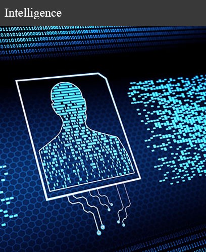 Intelligence Intelligence