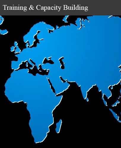 Training and Capacity Training and Capacity